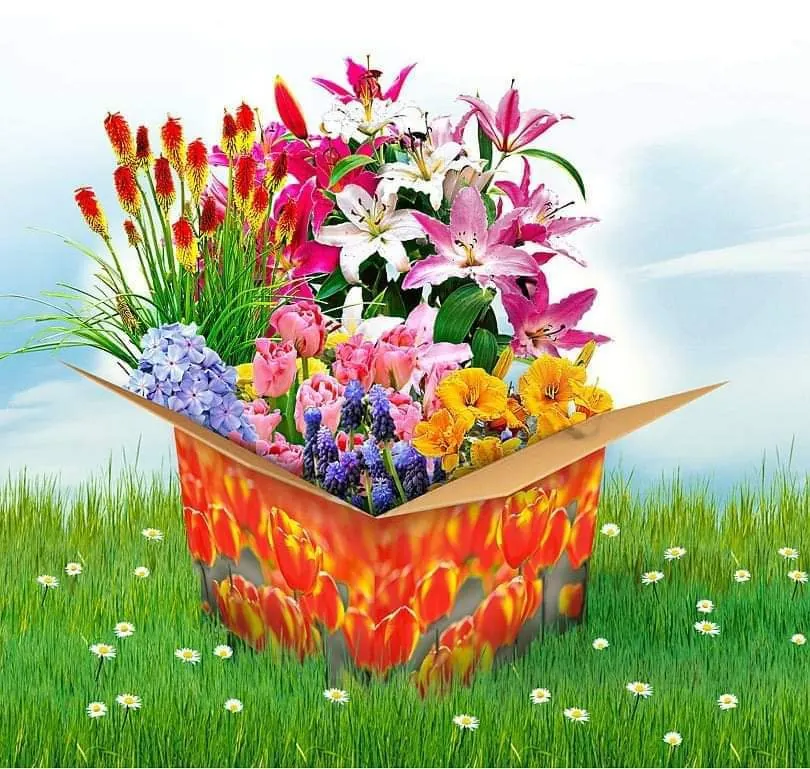 Diamond Painting Mistery Box Pasqua M