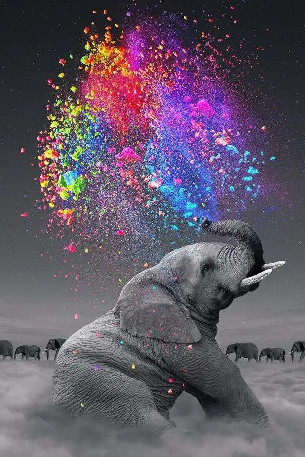 Diamond Painting Colorful Spray - immagine 2