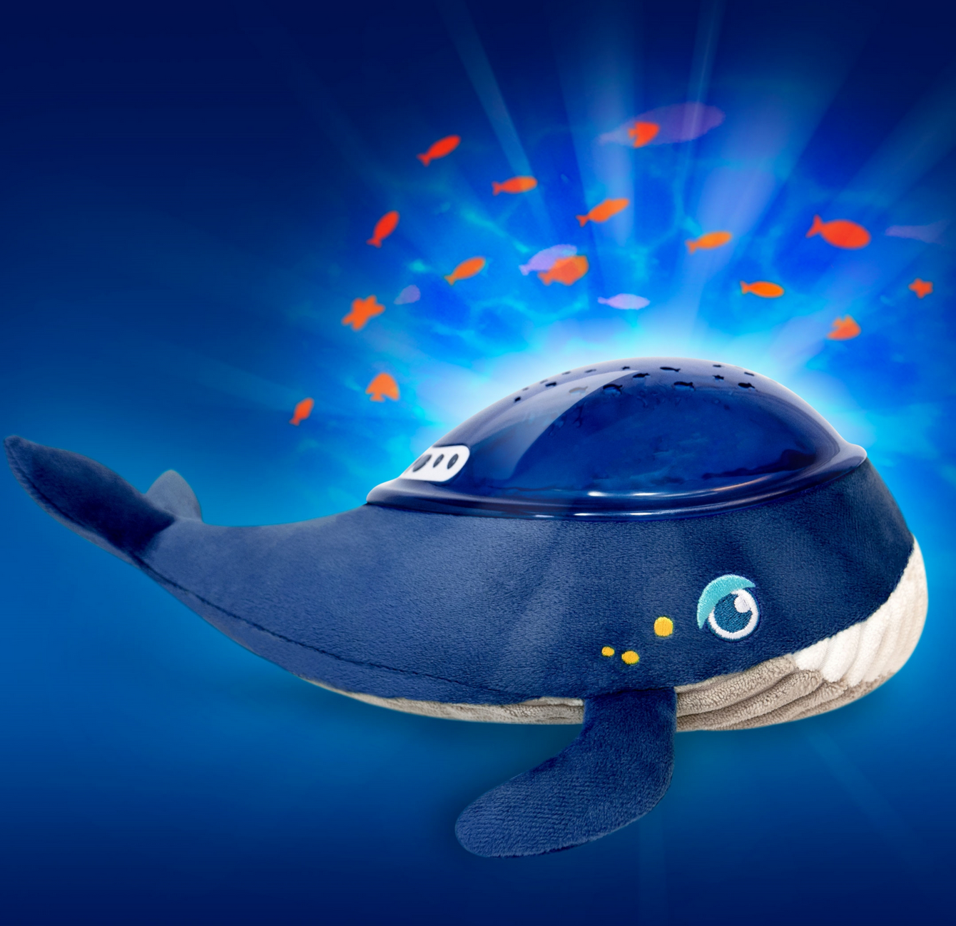 BALENA PROIETTA ONDE DEL MARE e PESCI CON MUSICA e SUONI