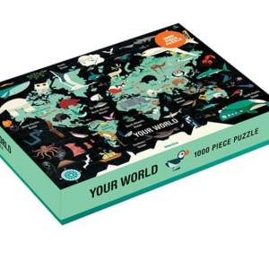 YOUR WORLD PUZZLE –  1000pz (inglese)