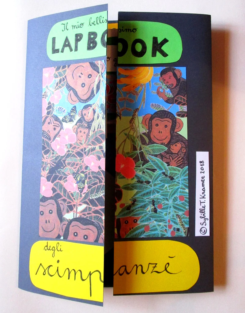 FUnLab “Arcimboldo”. Raccolta di giochi e materiali didattici in pdf. Età 4-10 anni. - immagine 9